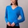 Merino Wool V-Neck Sweater