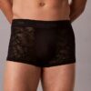 Microfiber Lace Low Rise Trunk
