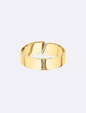 Minimalist Organic Shape Bangle