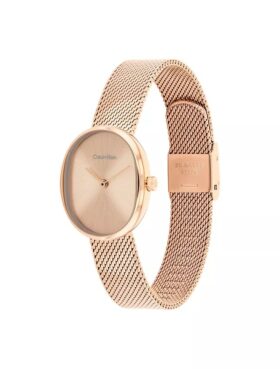 Round Mesh Bracelet Watch