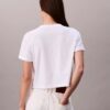 Script Logo Cropped Boxy T-Shirt