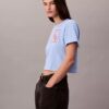 Script Logo Cropped Boxy T-Shirt Script Logo Cropped Boxy T-Shirt