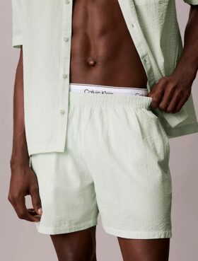 Seersucker Sleep Shorts