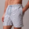 Seersucker Swim Shorts