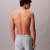 Seersucker Swim Shorts