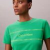 Stripe Logo Graphic Slim T-Shirt