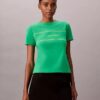 Stripe Logo Graphic Slim T-Shirt